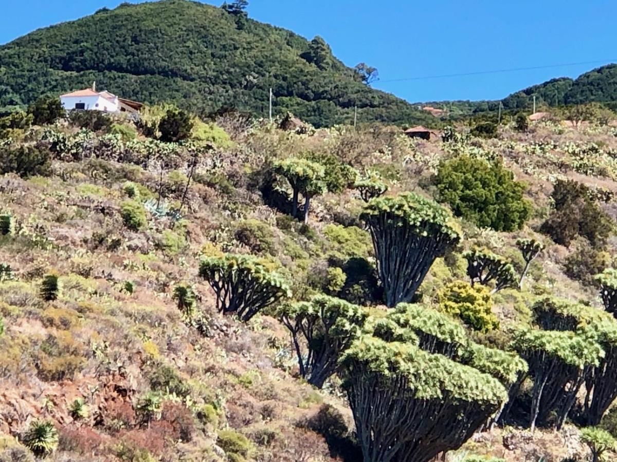 Casa Rural Los Barranquitos Garafía Dış mekan fotoğraf
